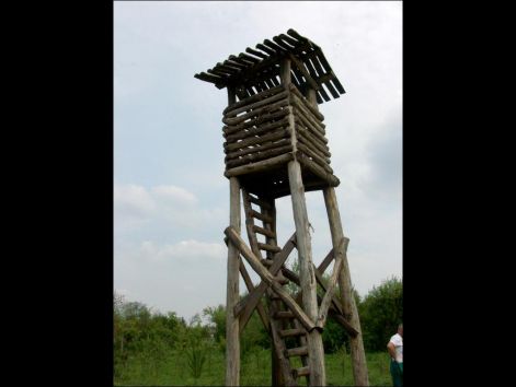 magasles4.jpg