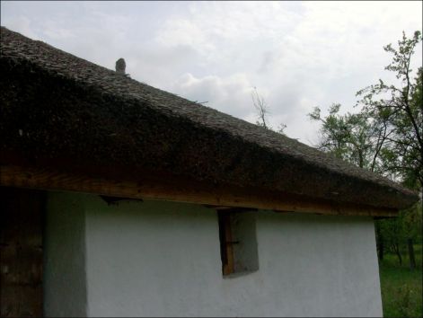 nadteto2.jpg